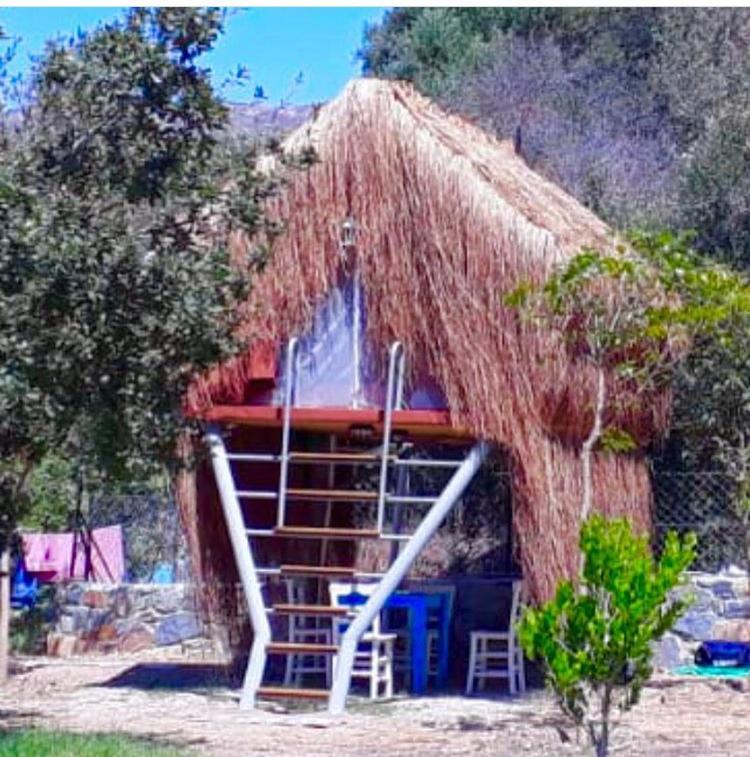 Bodrum Masali Camping กูมูชลุค ภายนอก รูปภาพ