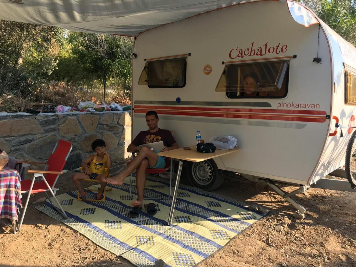 Bodrum Masali Camping กูมูชลุค ภายนอก รูปภาพ